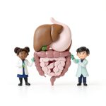 Medical School for Kids: A Fun Anatomy Guide for Preschool to 5th-0
