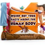 Children's Anatomy Book The Child's World Kids Anatomy Guide Ages 7-10-0
