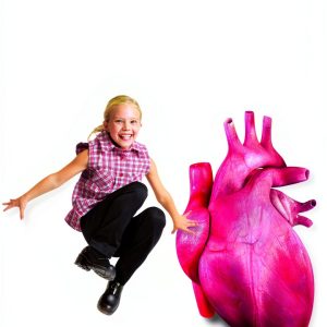 Children's Anatomy Book for Kids, Ages 2-5, English, 24 Pages-0