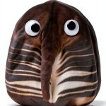 Children's Anatomy Book for Preschoolers - Butt or Face? by-0