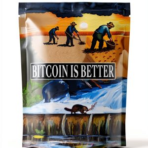 Bitcoin Economics eBook by Bitcoin Is Better – 245 Page Kindle Edition-0
