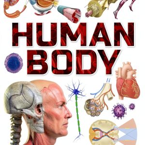 Children's Anatomy & Physiology Book for Kids, Ages 7-12, Kindle-0
