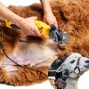 Sheep Shears SOARFLY 600W Electric Clippers with Carbon Steel Blades-3