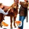 Horse Clippers Luzrise Cordless 6-Speed Groomer with 21V 4Ah Batteries-5